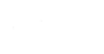 Logo Nina