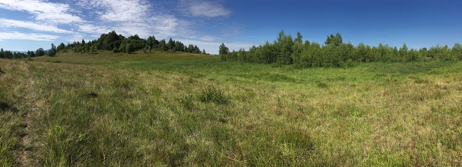 Hydrological measurements – Tinovul Hărniceștilor