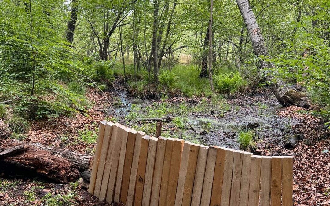 Soluții locale pentru probleme globale